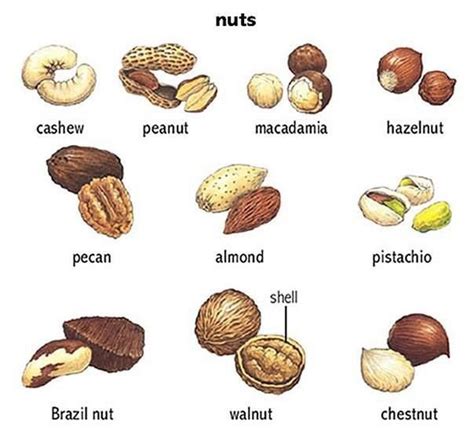 nuts traduction